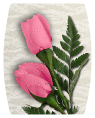 DAREC-054 2 Roses Pink